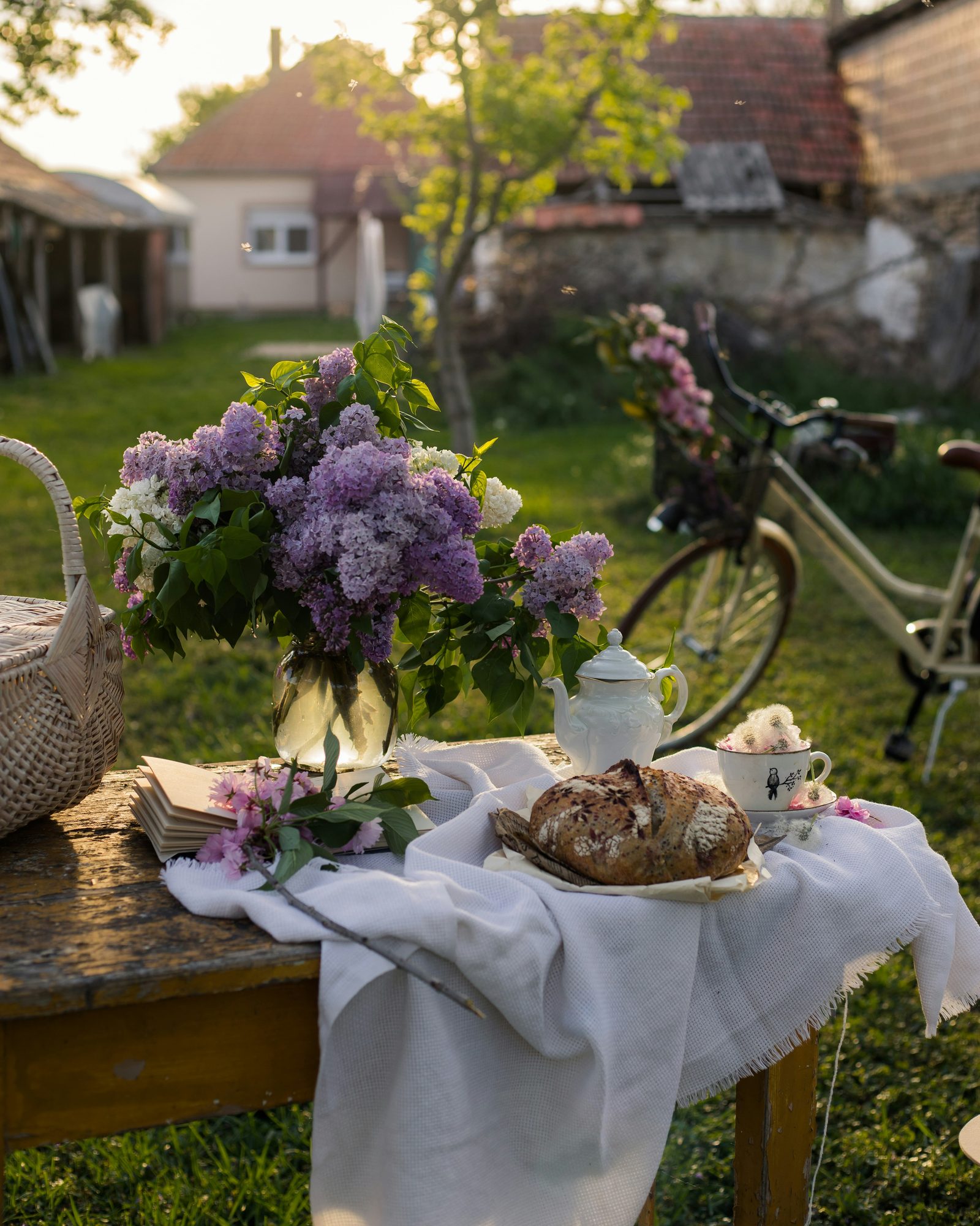 By Jovan Vasiljević on Unsplash