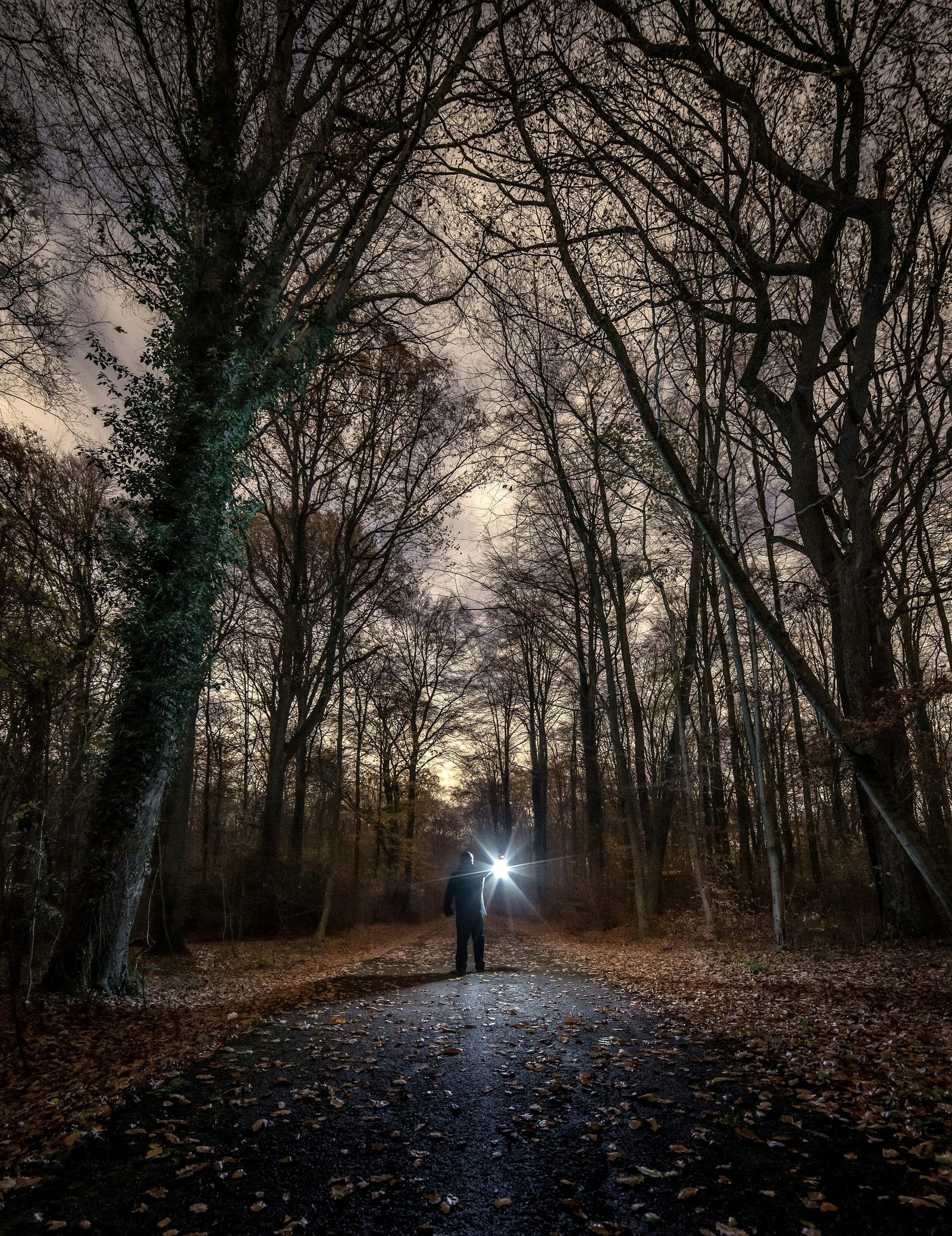 By Evgeni Tcherkasski on Unsplash